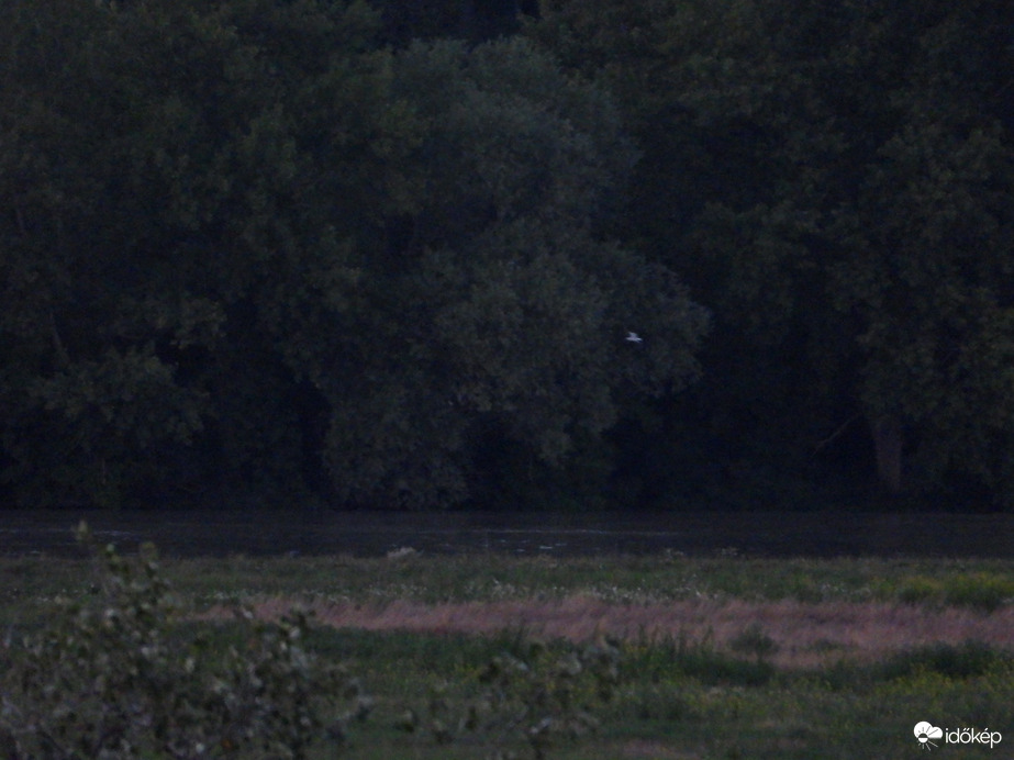 Emelkedik a Duna vízállása