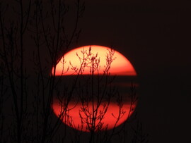 Felhő a lemenő napban