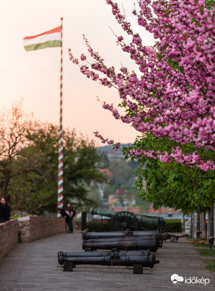 Tavasz a Budai-várnál