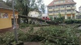 Mezőkövesd