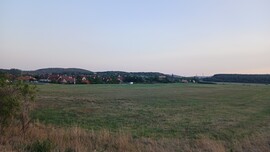 Balatonszőlős