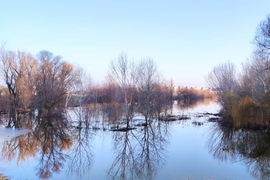 Téli áradás, Győr 