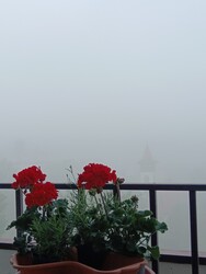 Budapest XVII.ker - Rákoskeresztúr