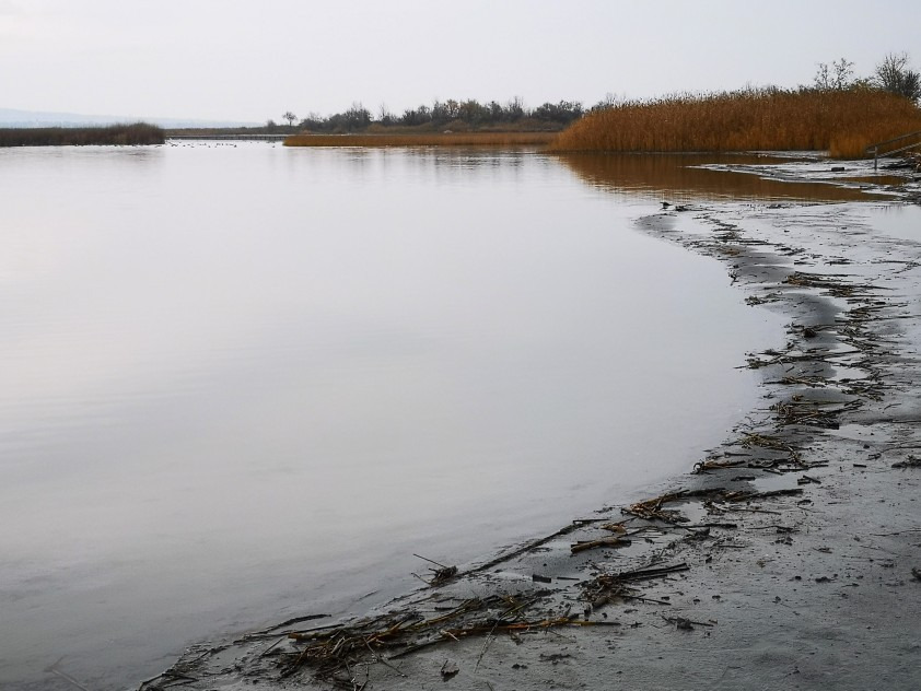 Gárdony
