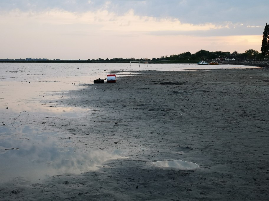 Gárdony