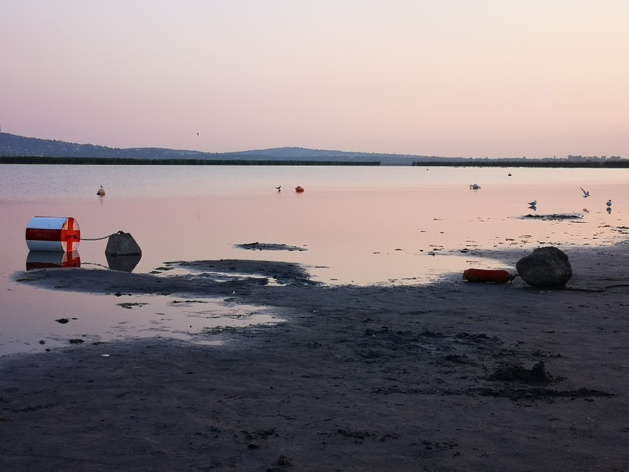 Gárdony