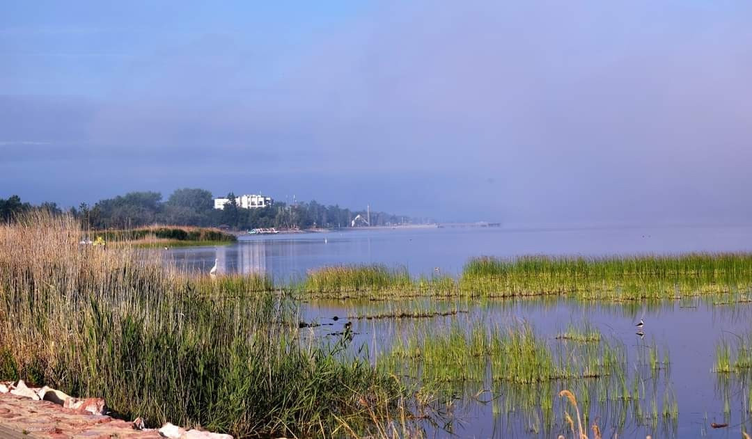 Gárdony
