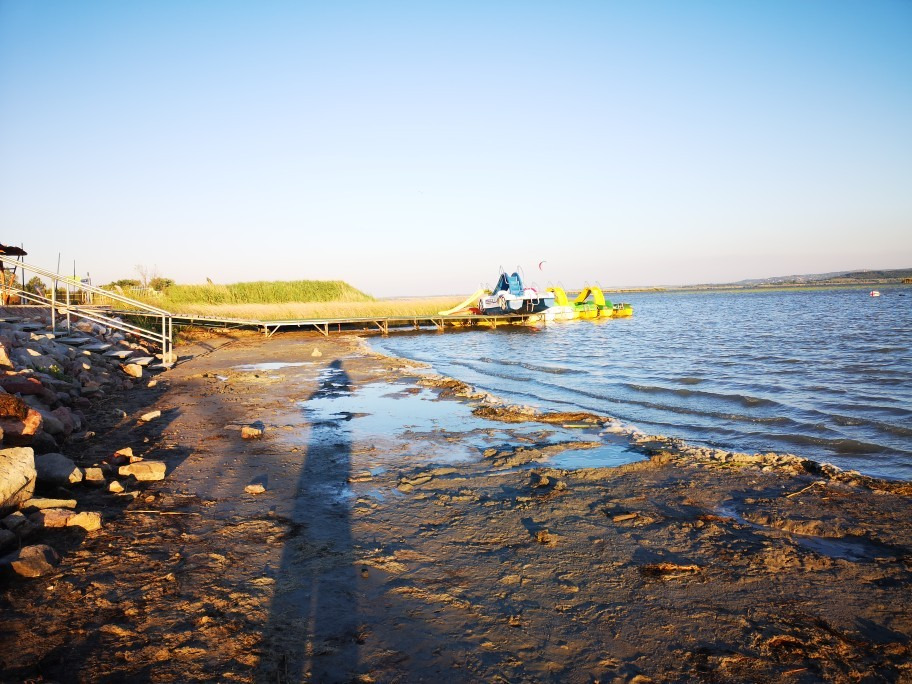 Gárdony