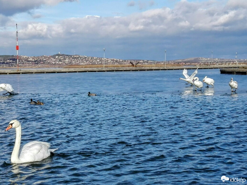 Gárdony