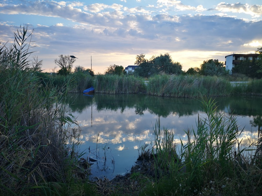 Gárdony