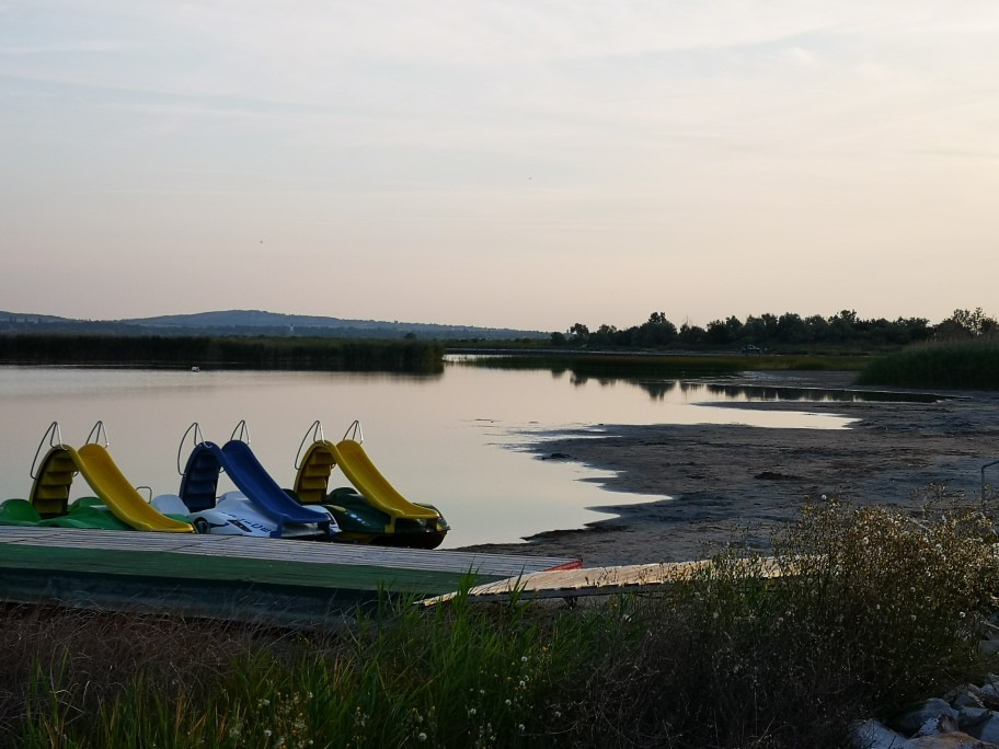 Gárdony