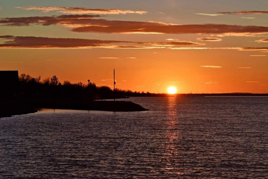 Gárdony