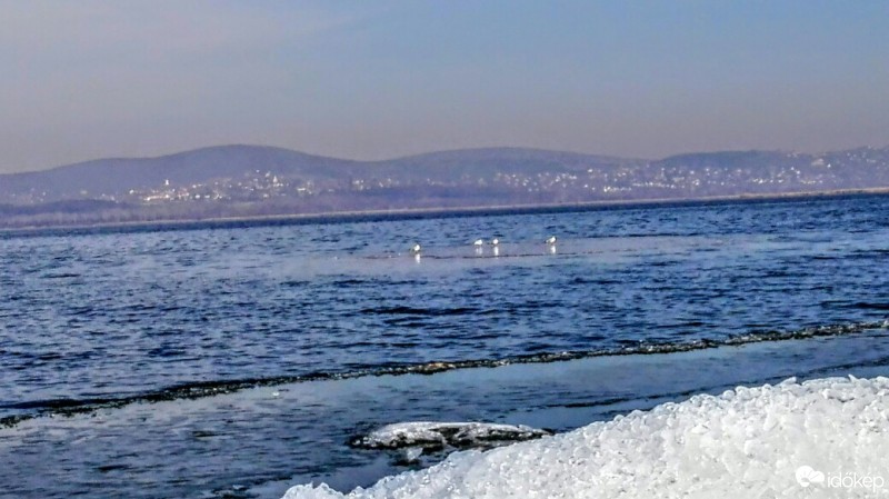 Gárdony