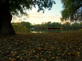 Tiszacsege