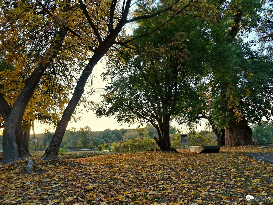 A Tisza-part őszi arca