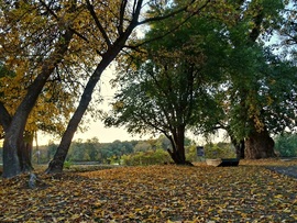 A Tisza-part őszi arca