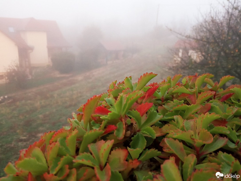Villány