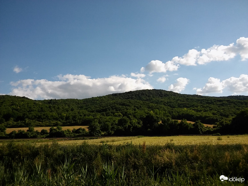 Dimbes - dombos :)
