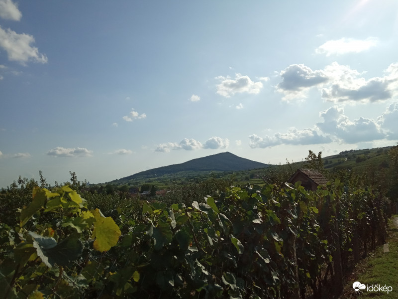 Villány