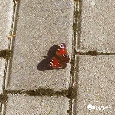 Ő is érzi már a tavaszt :)