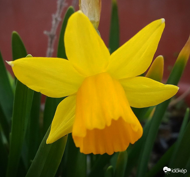 Pár nappal korábban. 