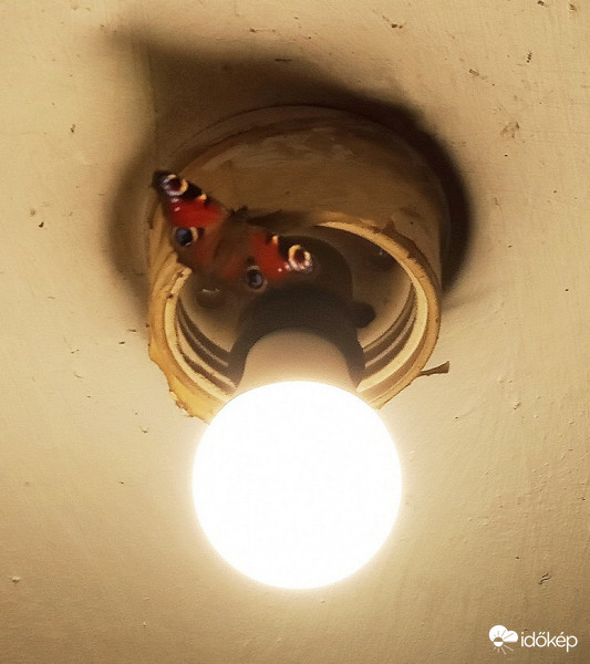 2019.12.05. Kazánházi meglepetés