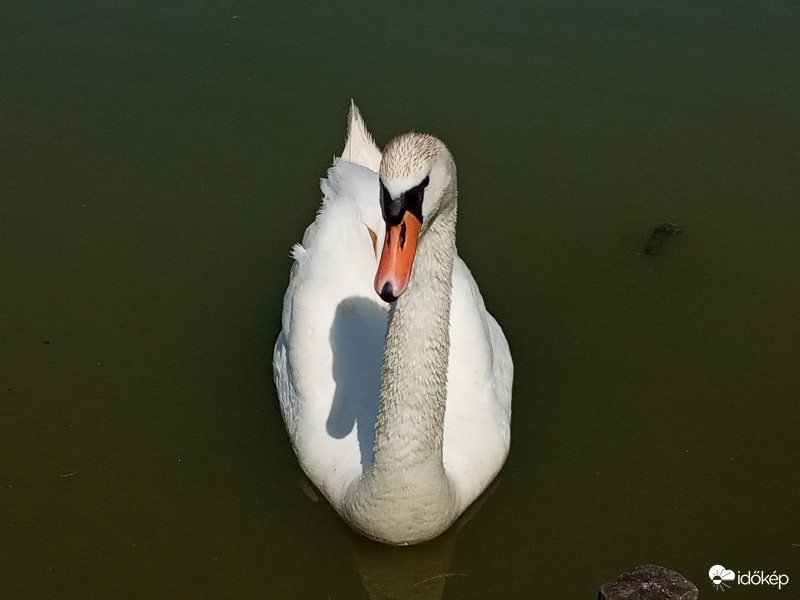 Modellt álltam :)