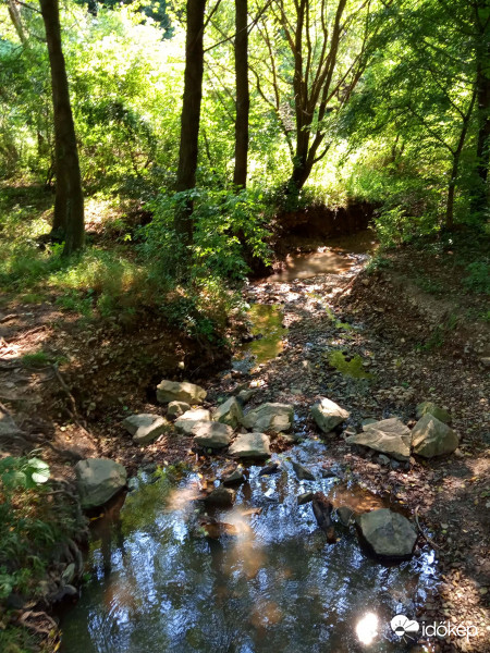 Patakocska