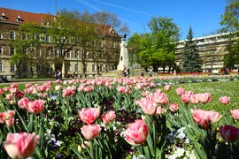 A mi Győrünk 