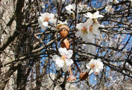  Matyi boldog nőnapot kíván Győrből