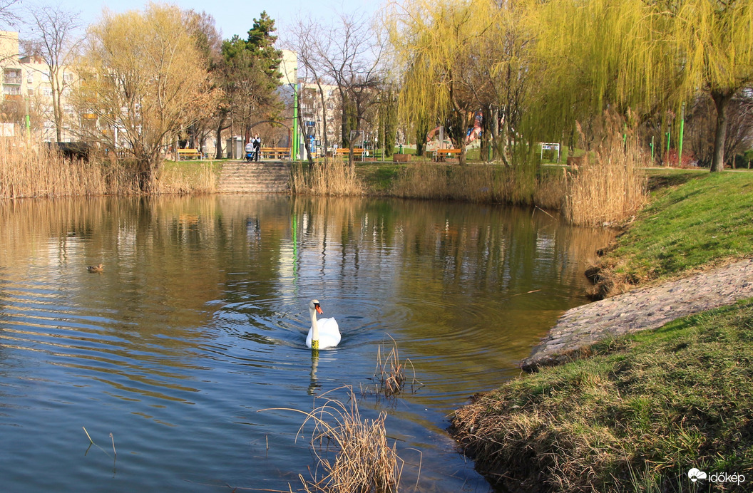 Győrben