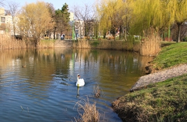 Győrben