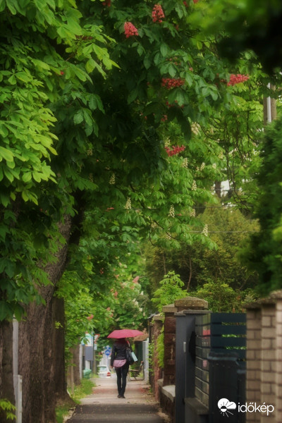 esős nap 