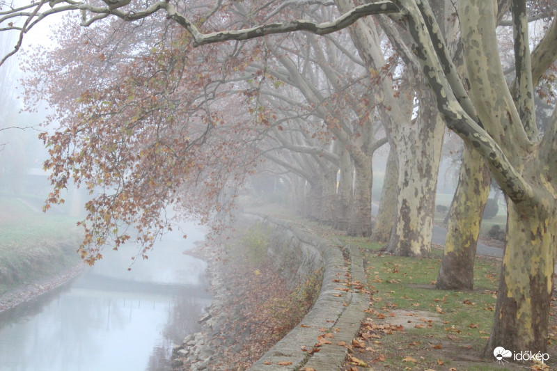 Ködös  reggel