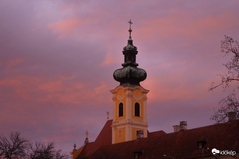 Rózsaszín világban