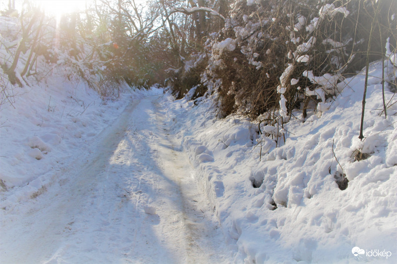 napfényes tél