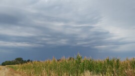 Mihályi