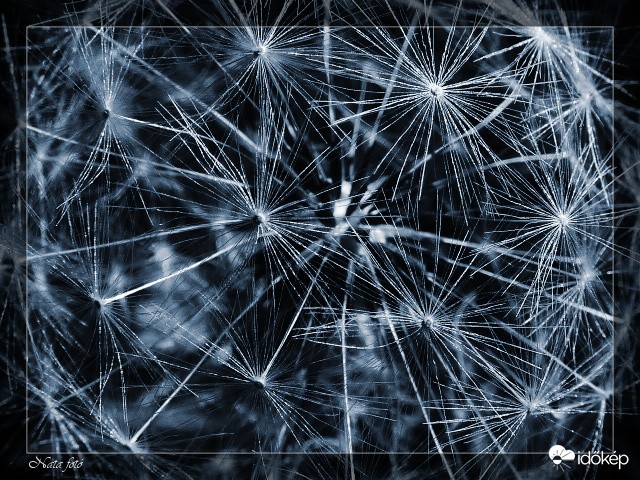 Univerzum