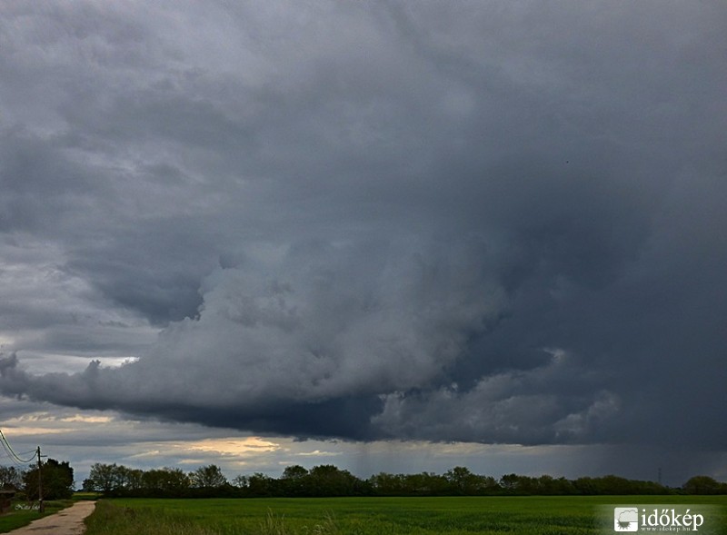 Az "Ormány" :)