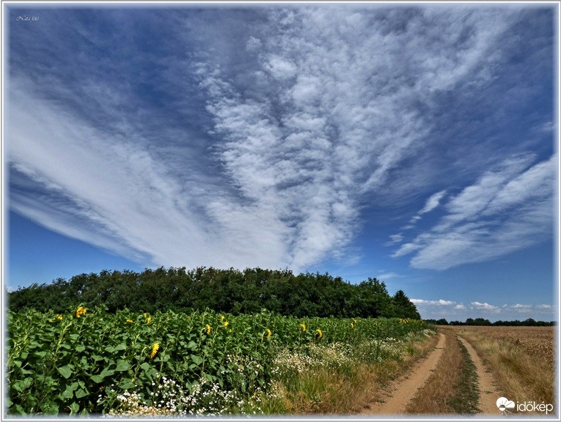 Sávokkal