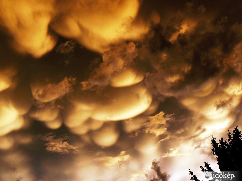 Mammák karnyújtásnyira