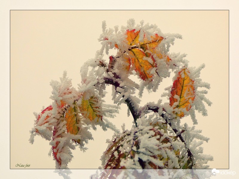 Kristályokba öltözve