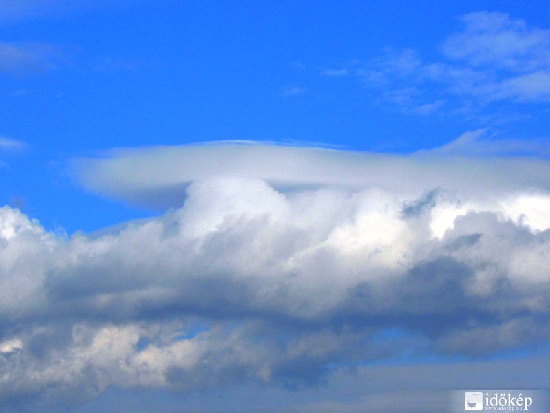Cu pileus