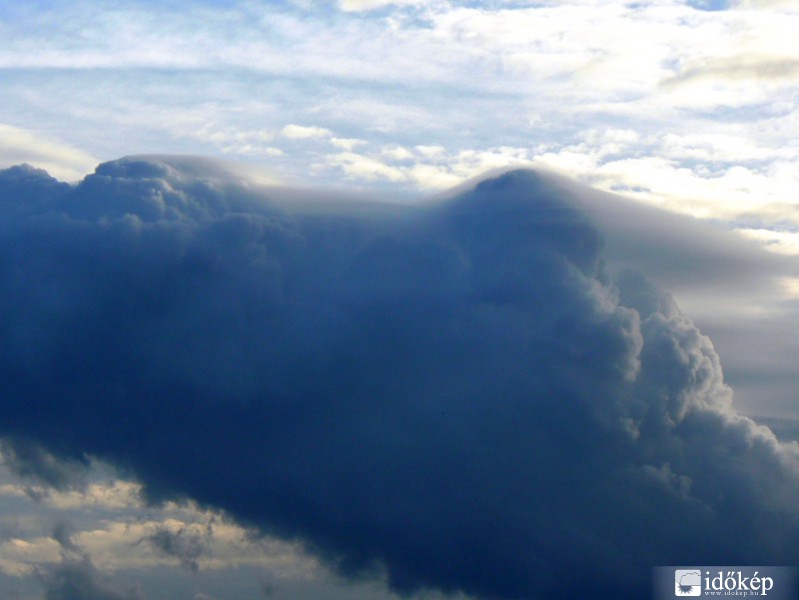Újabb pileus...