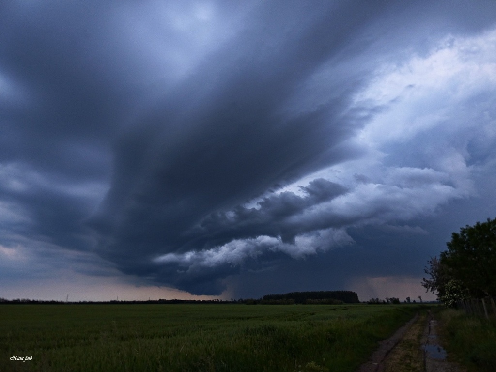 Szupercella, Mihályi