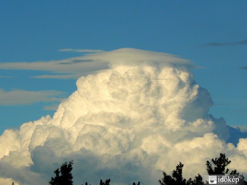 Pileus