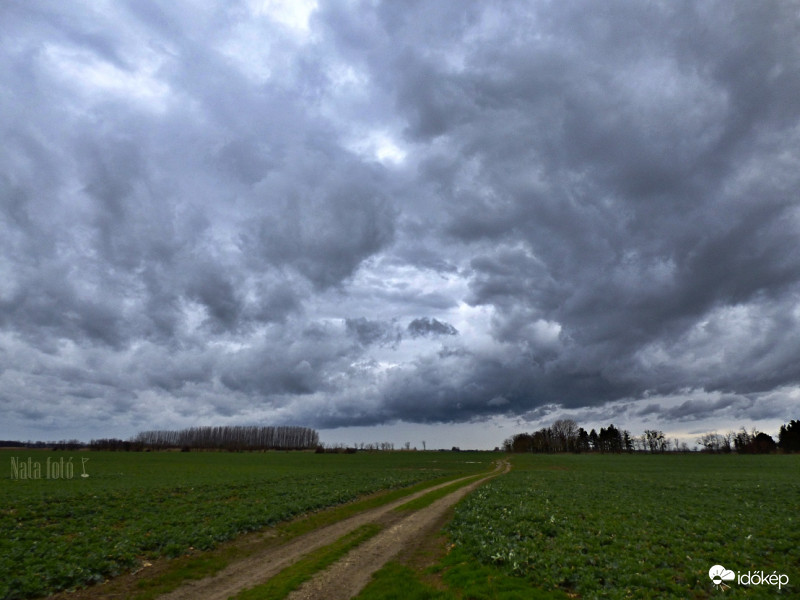 Délutáni felvonulás