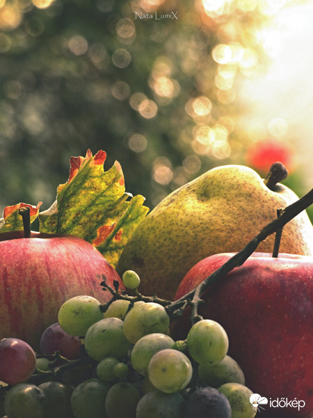 Egy kis őszi hangulat