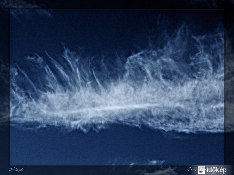 Cirrus vertebratus
