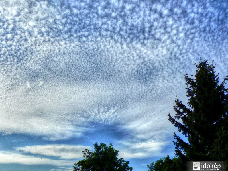 Cirrocumulus 